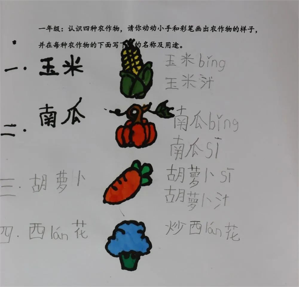 快乐劳动，充实假期 ——小学部劳动作业展